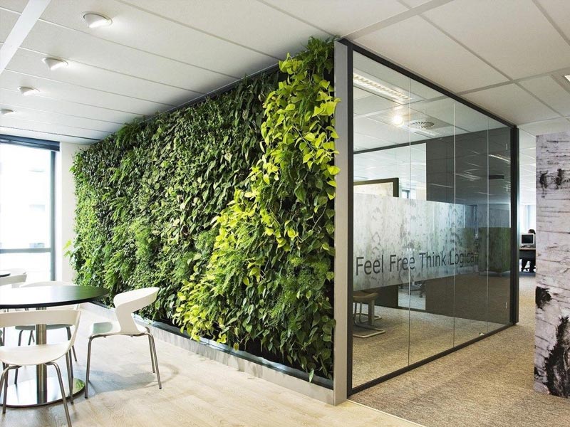 Mẫu thiết kế văn phòng Xanh bền vững 220m² Mẫu thiết kế văn phòng Xanh bền vững 220m²