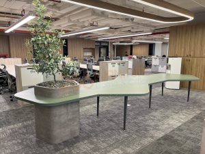 11Thiết kế thi công trọn gói nội thất văn phòng công ty Becamex Tokyu ở Thủ Đức | Trọng Design