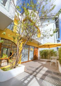 Homestay tone vàng phong cách dễ thương tại Đà Lạt