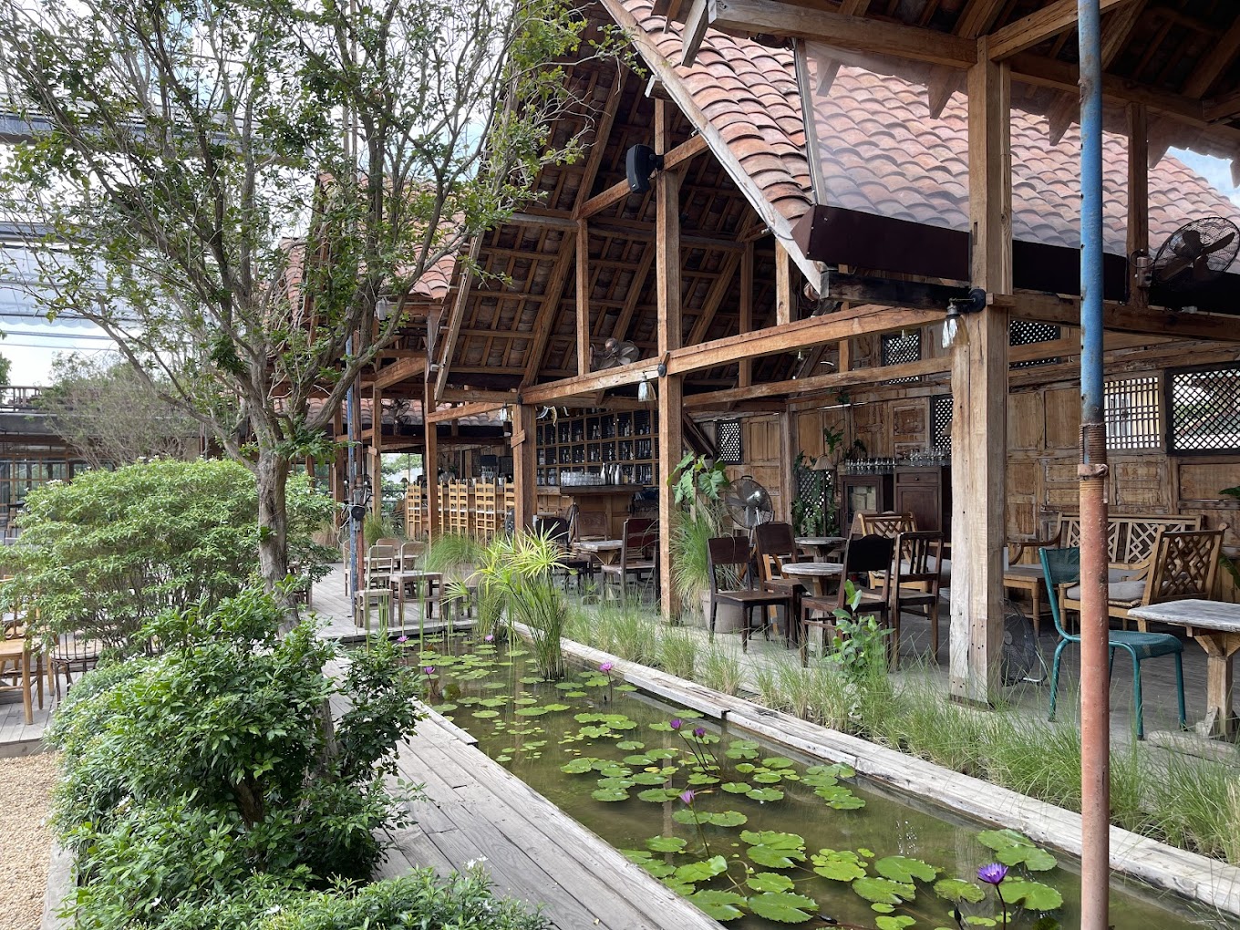 Trên Tầng Thượng