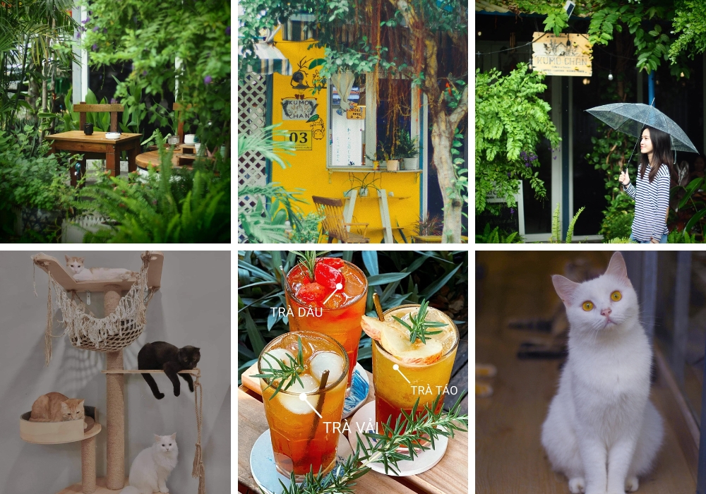 KUMO CHAN COFFEE AND GARDEN KUMO CHAN COFFEE AND GARDEN
