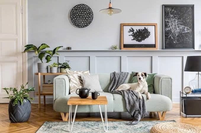 thiết kế nội thất gò vấp