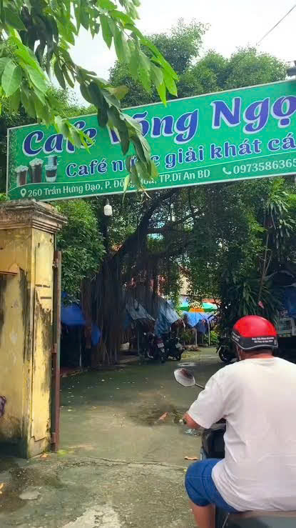 quán cà phê võng